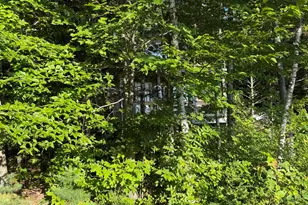 322 Lamb Rd, Roxbury, ME 04275 - Photo 39