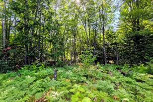 116 Cross Rd, Avon, ME 04966 - Photo 23