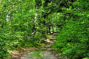 116 Cross Rd, Avon, ME 04966 - Photo 29
