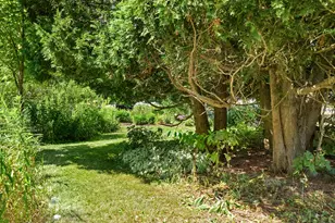 22 Clark Island Rd, Saint George, ME 04860 - Photo 47