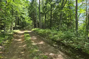 Lot 8 East Andover Rd, Andover, ME 04216 - Photo 1