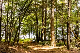 6 Rocky Point Rd, Lincolnville, ME 04849 - Photo 49