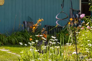 6 Rocky Point Rd, Lincolnville, ME 04849 - Photo 43