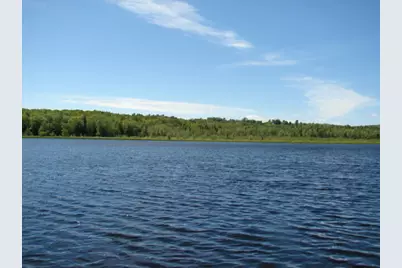 154 Linnell Drive, Harmony, ME 04942 - Photo 5