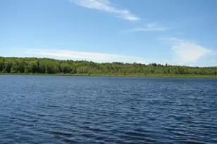 154 Linnell Dr, Harmony, ME 04942 - Photo 5