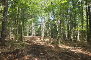 18A Concord Pond Rd, Woodstock, ME 04219 - Photo 1