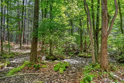 21 Marsh Brook Lane, York, ME 03902 - Photo 7