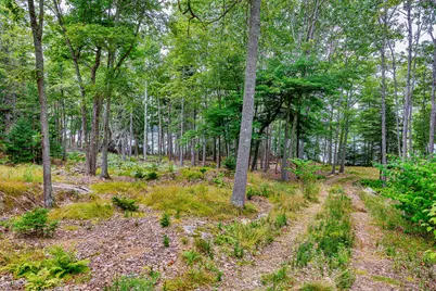 37 Fife Drive, Deer Isle, ME 04627 - Photo 19