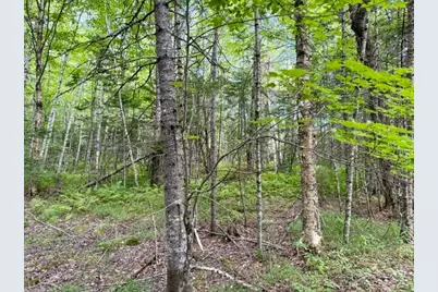 [Address not provided], Limington, ME 04961 - Photo 7