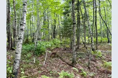 [Address not provided], Limington, ME 04961 - Photo 13