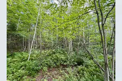[Address not provided], Limington, ME 04961 - Photo 9