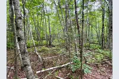 [Address not provided], Limington, ME 04961 - Photo 11