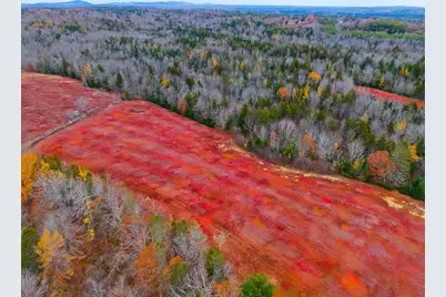 Map31Lot29 Land-Perkins, Blue Hill, ME 04614 - Photo 37