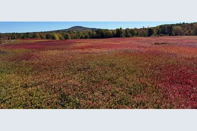 Map31Lot29 Land-Perkins, Blue Hill, ME 04614 - Photo 15