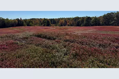 Map31Lot29 Land-Perkins, Blue Hill, ME 04614 - Photo 9