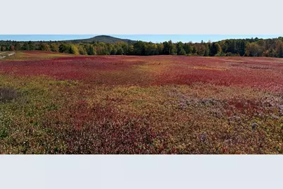Map31Lot29 Land-Perkins, Blue Hill, ME 04614 - Photo 1