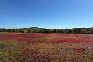 Map31Lot29 Land-Perkins, Blue Hill, ME 04614 - Photo 1