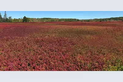 Map31Lot29 Land-Perkins, Blue Hill, ME 04614 - Photo 17