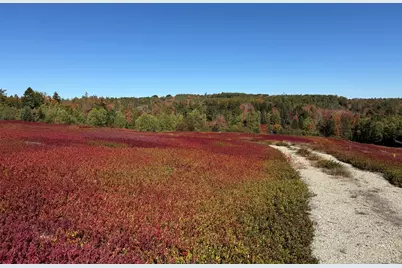 Map31Lot29 Land-Perkins, Blue Hill, ME 04614 - Photo 7