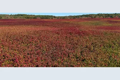 Map31Lot29 Land-Perkins, Blue Hill, ME 04614 - Photo 21