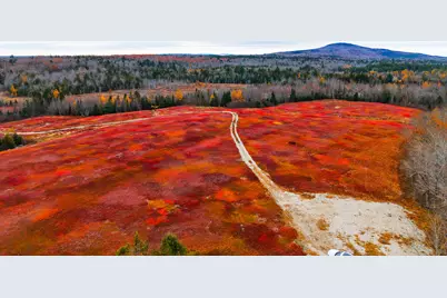 Map31Lot29 Land-Perkins, Blue Hill, ME 04614 - Photo 33