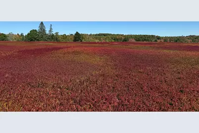 Map31Lot29 Land-Perkins, Blue Hill, ME 04614 - Photo 13