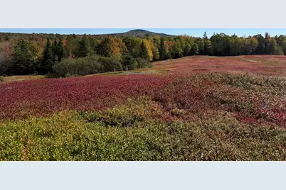 Map31Lot29 Land-Perkins, Blue Hill, ME 04614 - Photo 29