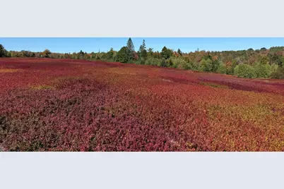 Map31Lot29 Land-Perkins, Blue Hill, ME 04614 - Photo 25