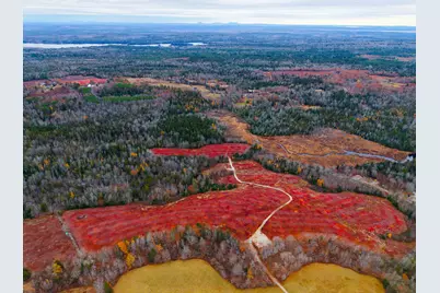Map31Lot29 Land-Perkins, Blue Hill, ME 04614 - Photo 41