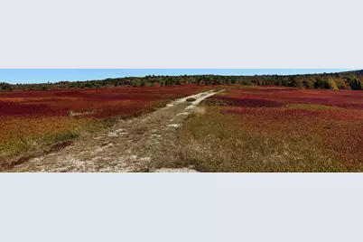 Map31Lot29 Land-Perkins, Blue Hill, ME 04614 - Photo 11