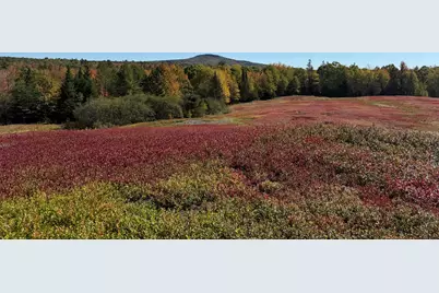 Map31Lot29 Land-Perkins, Blue Hill, ME 04614 - Photo 27