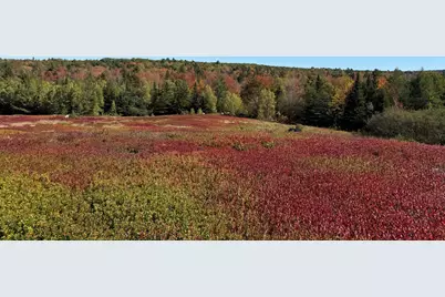 Map31Lot29 Land-Perkins, Blue Hill, ME 04614 - Photo 31