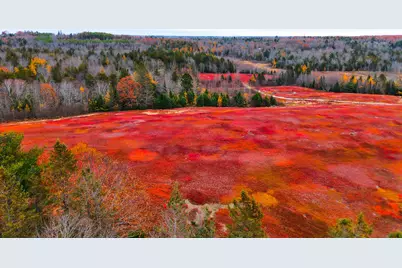 Map31Lot29 Land-Perkins, Blue Hill, ME 04614 - Photo 35