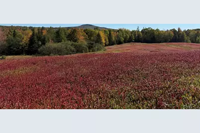 Map31Lot29 Land-Perkins, Blue Hill, ME 04614 - Photo 5