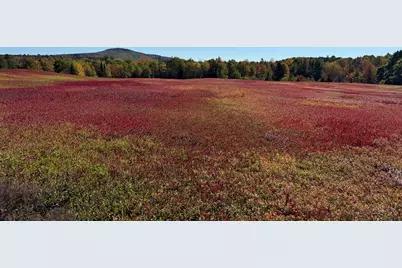 Map31Lot29 Land-Perkins, Blue Hill, ME 04614 - Photo 3