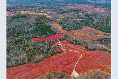 Map31Lot29 Land-Perkins, Blue Hill, ME 04614 - Photo 39