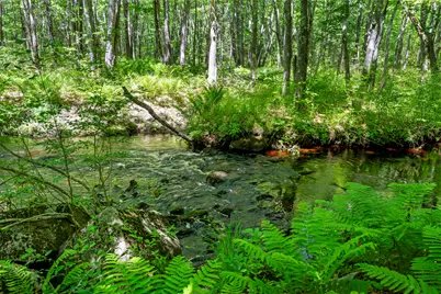Lot 3 Kennebrook Lane, Lyman, ME 04002 - Photo 11
