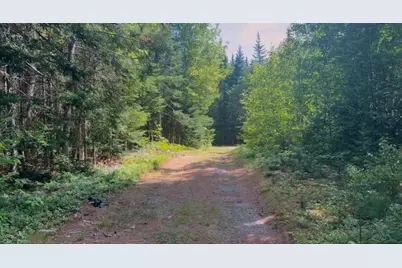 Lot 6 Goulding Lake Road, Robbinston, ME 04671 - Photo 13