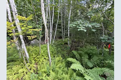 Tbd Stoneybrook Drive #Lot 2, Oakland, ME 04963 - Photo 5
