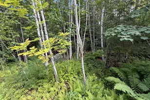Tbd Stoneybrook Dr, Oakland, ME 04963 - Photo 1