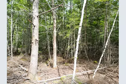 Lot 4 Off Mattamiscontis Road, Howland, ME 04448 - Photo 13