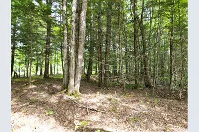 Lot 4 Off Mattamiscontis Road, Howland, ME 04448 - Photo 5