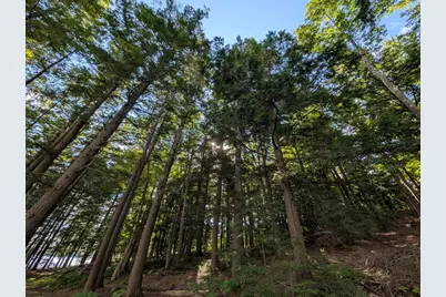 Lot 6A Lake Road, Wilton, ME 04294 - Photo 47