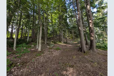 Lot 6A Lake Road, Wilton, ME 04294 - Photo 7