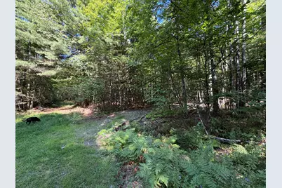 Map 9 Lot 16-10 Clark Richardson Road, Garland, ME 04939 - Photo 3