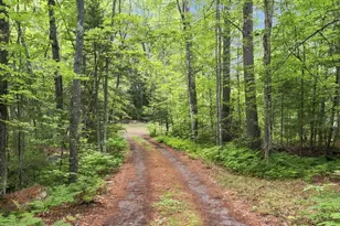 30 Robbins Ln, Rome, ME 04963 - Photo 37