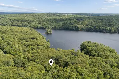 42 Cleve Tripp Road, Poland, ME 04274 - Photo 53