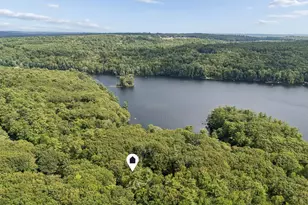 42 Cleve Tripp Rd, Poland, ME 04274 - Photo 53