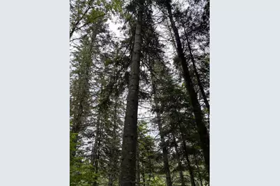 02_Lot _At Blaine School Road, Fort Kent, ME 04743 - Photo 3