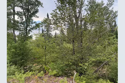 02-39 Bennoch Road, Alton, ME 04468 - Photo 5
